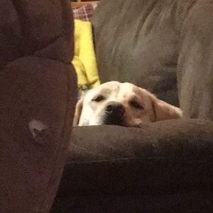 Meet your Posher, Leah